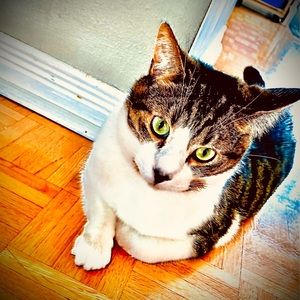 Meet your Posher, Lyna